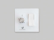 Double wall switch with dimmer switch for lighting control