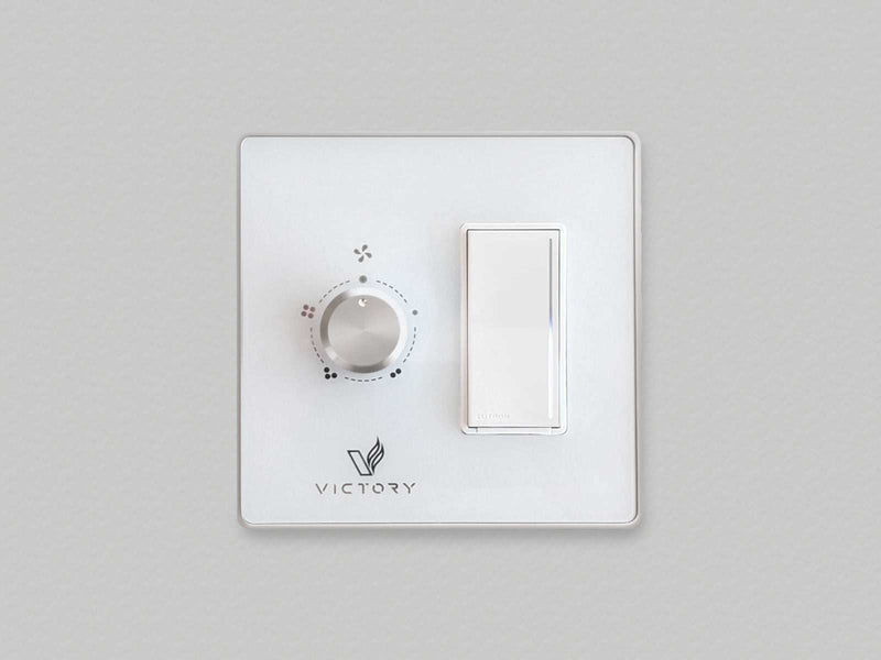 Double wall switch with dimmer switch for lighting control