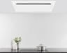 white ceiling mount range hood victory range hoods